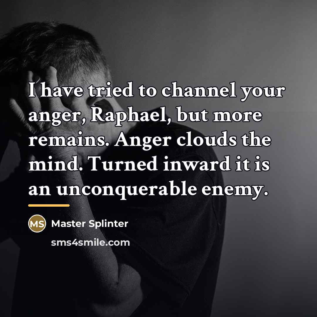 “I have tried to channel your anger, Raphael, but more…” quote by Master Splinter