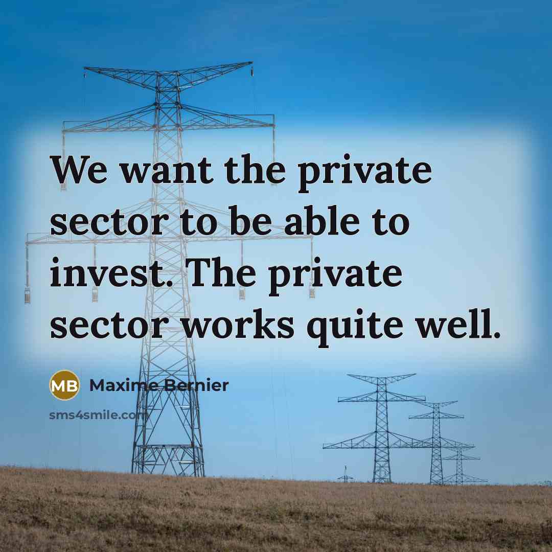 “We want the private sector to be able to invest.…” quote by Maxime Bernier