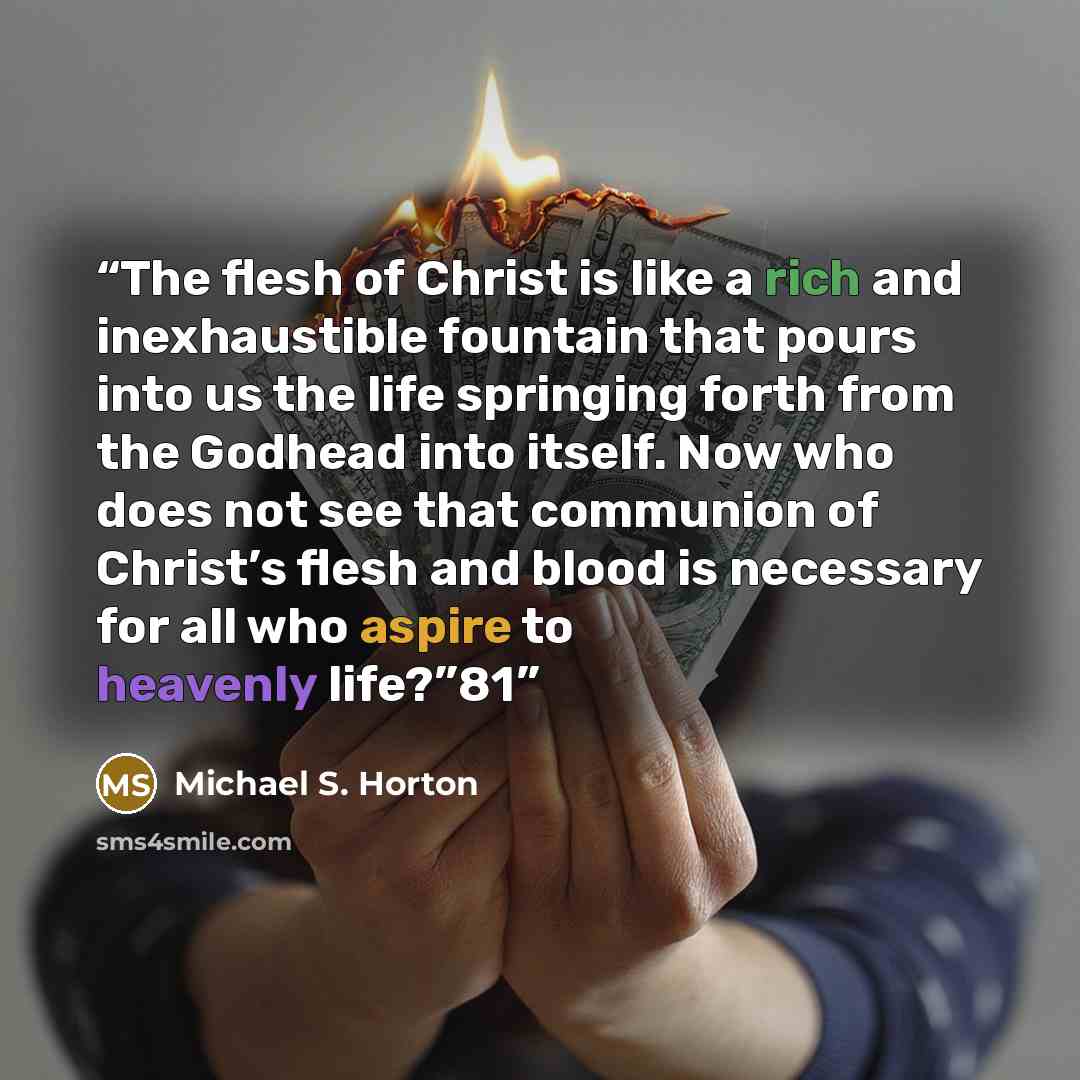 “The flesh of Christ is like a rich and inexhaustible fountain that pours into us the life springing forth from the Godhead into itself. Now who does not see that communion of Christ’s flesh and blood is necessary for all who aspire to heavenly life?”81” quote by Michael S. Horton