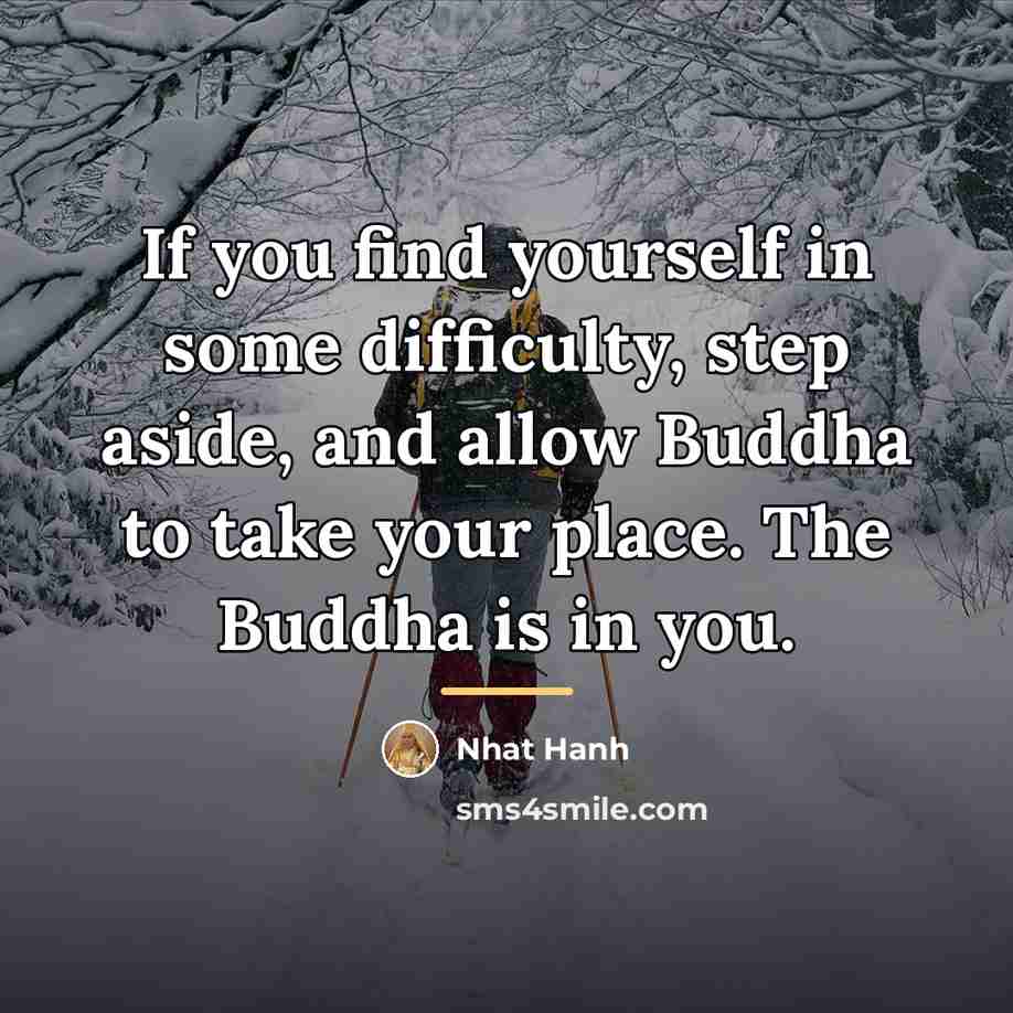 “If you find yourself in some difficulty, step aside, and…” quote by Nhat Hanh