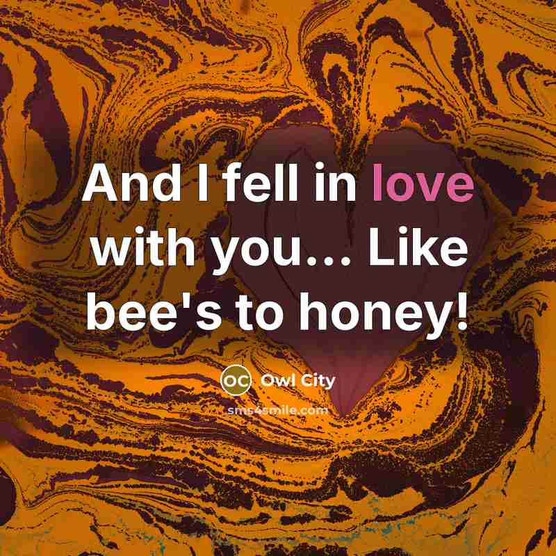“And I fell in love with you... Like bee's to honey!” quote by Owl City