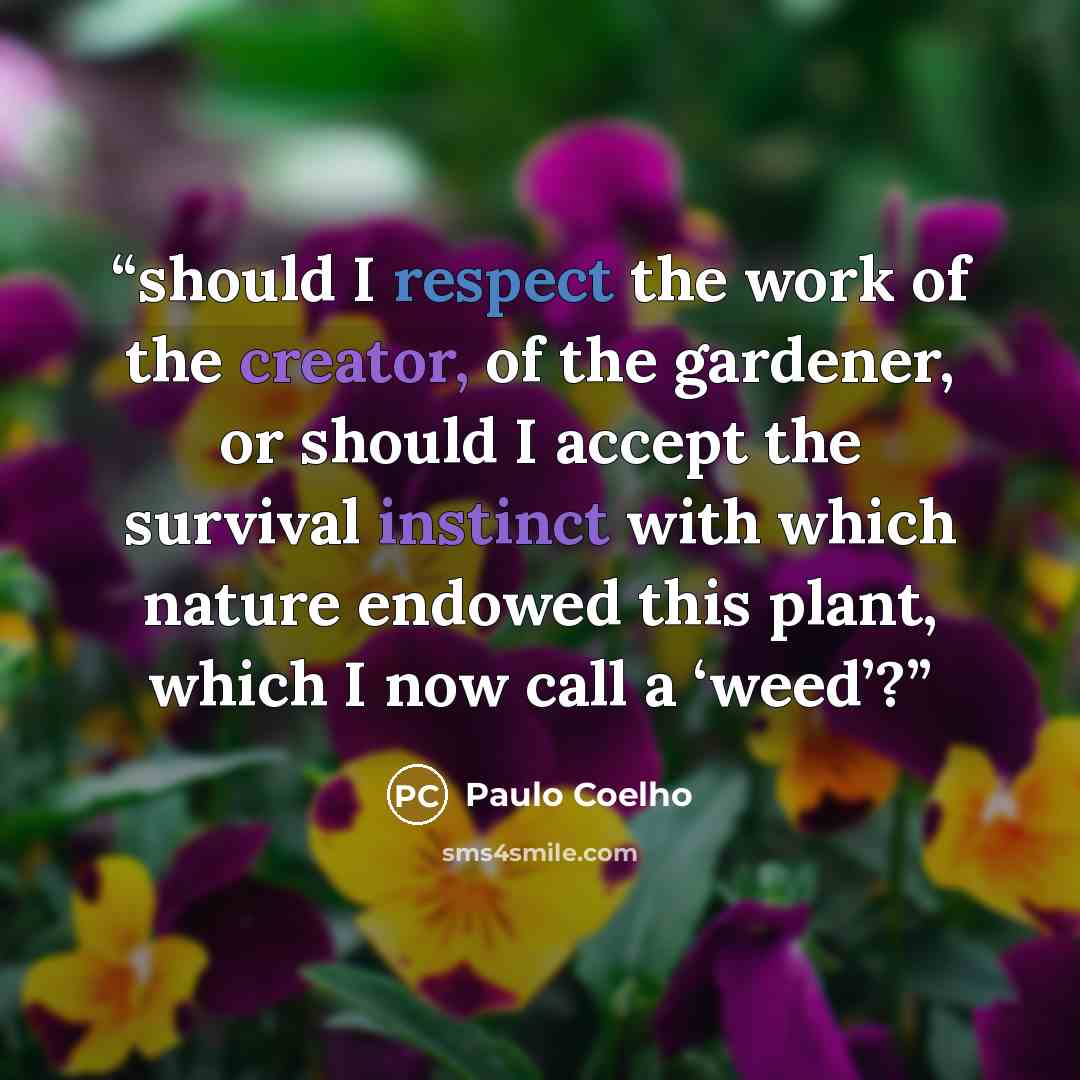 “should I respect the work of the creator, of the gardener, or should I accept the survival instinct with which nature endowed this plant, which I now call a ‘weed’?” quote by Paulo Coelho
