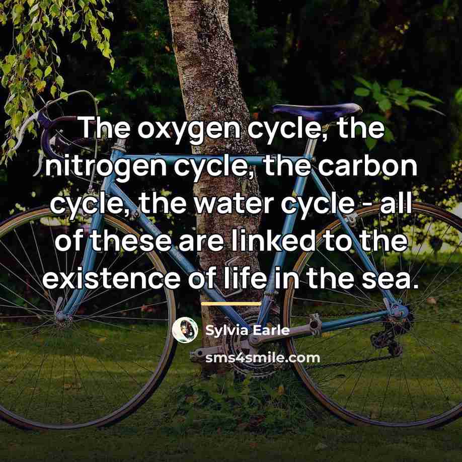 “The oxygen cycle, the nitrogen cycle, the carbon cycle, the…” quote by Sylvia Earle