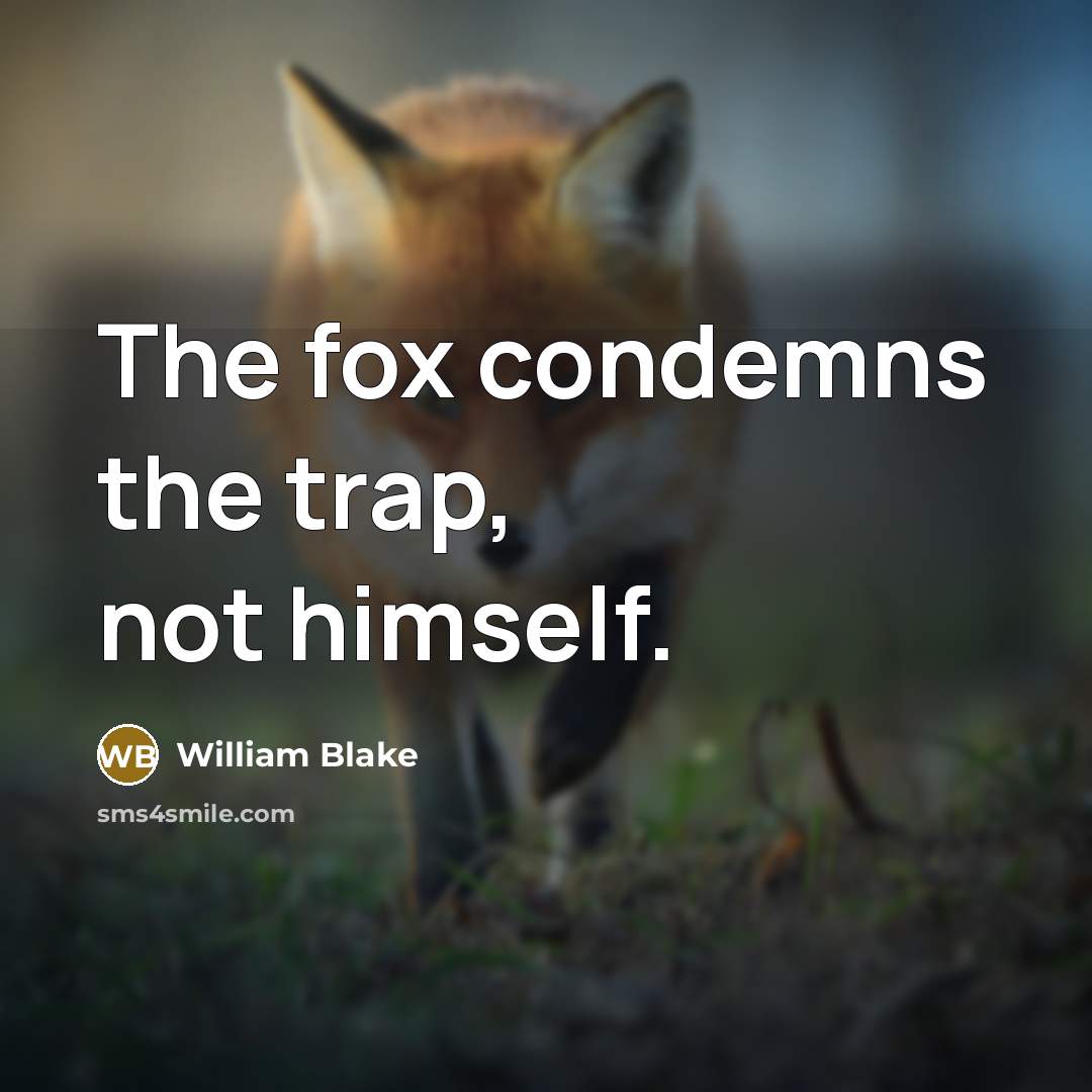 “The fox condemns the trap, not himself.…” quote by William Blake