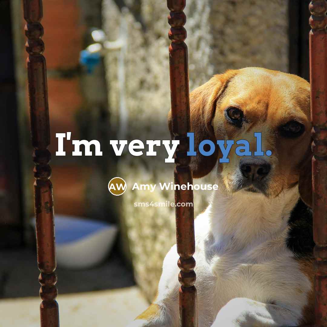 “I'm very loyal.…” quote by Amy Winehouse