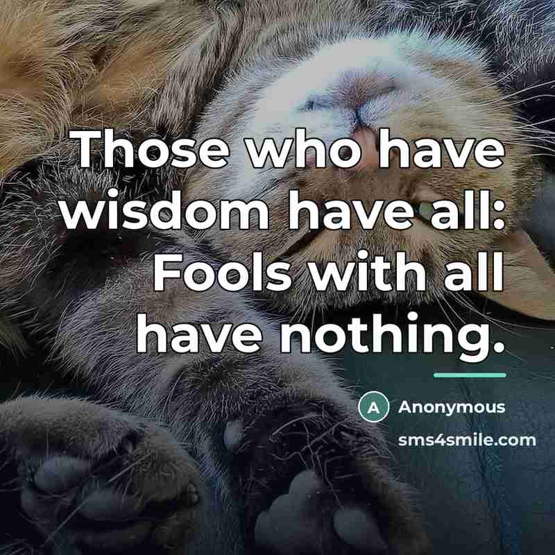 “Those who have wisdom have all: Fools with all have…” quote by Anonymous