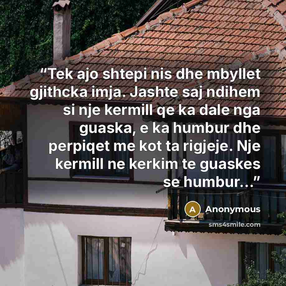 “Tek ajo shtepi nis dhe mbyllet gjithcka imja. Jashte saj ndihem si nje kermill qe ka dale nga guaska, e ka humbur dhe perpiqet me kot ta rigjeje. Nje kermill ne kerkim te guaskes se humbur...” quote by Anonymous