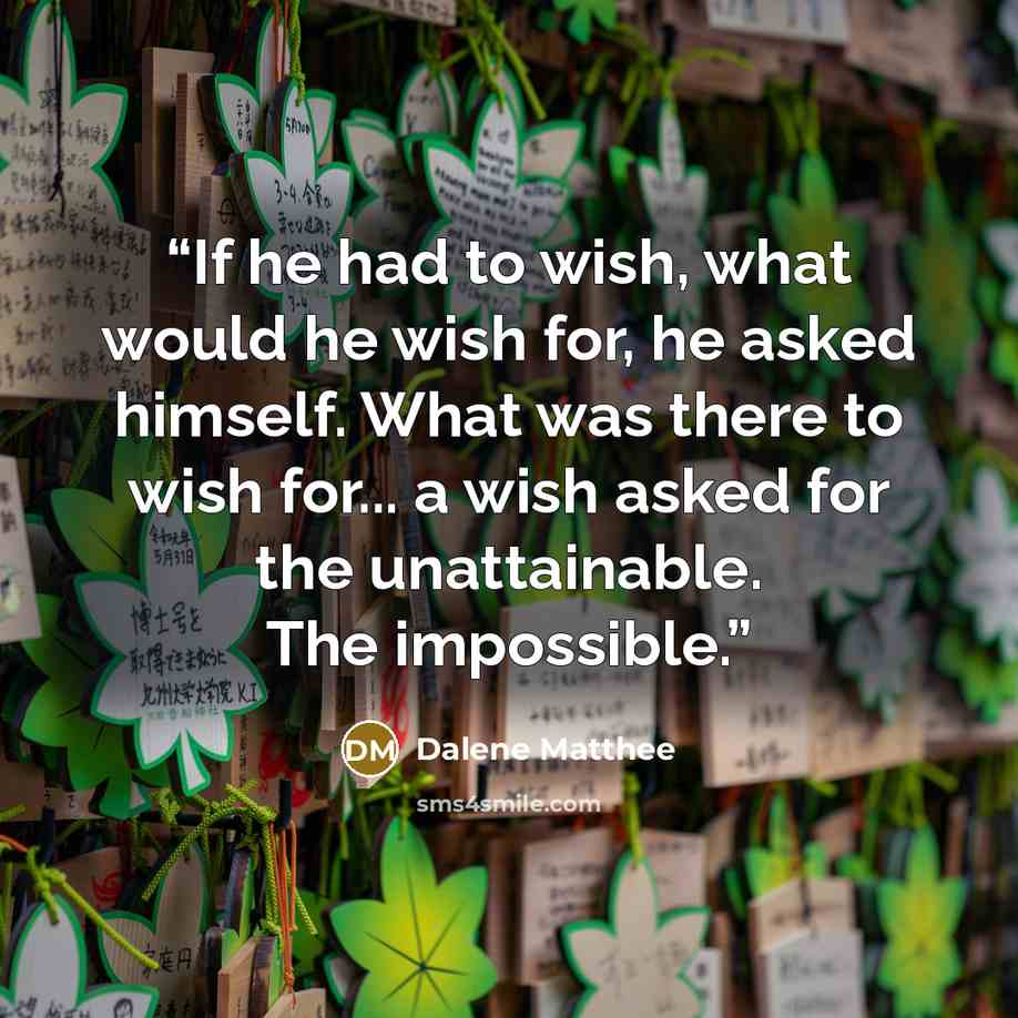 “If he had to wish, what would he wish for, he asked himself. What was there to wish for... a wish asked for the unattainable. The impossible.” quote by Dalene Matthee