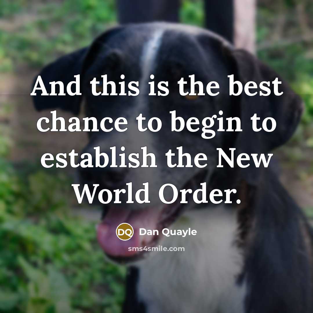 “And this is the best chance to begin to establish…” quote by Dan Quayle