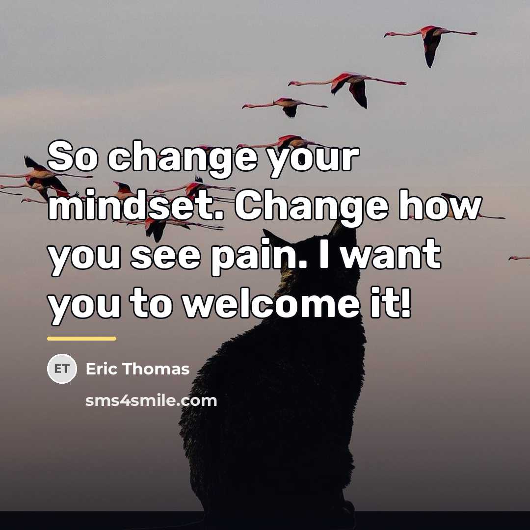 “So change your mindset. Change how you see pain. I…” quote by Eric Thomas