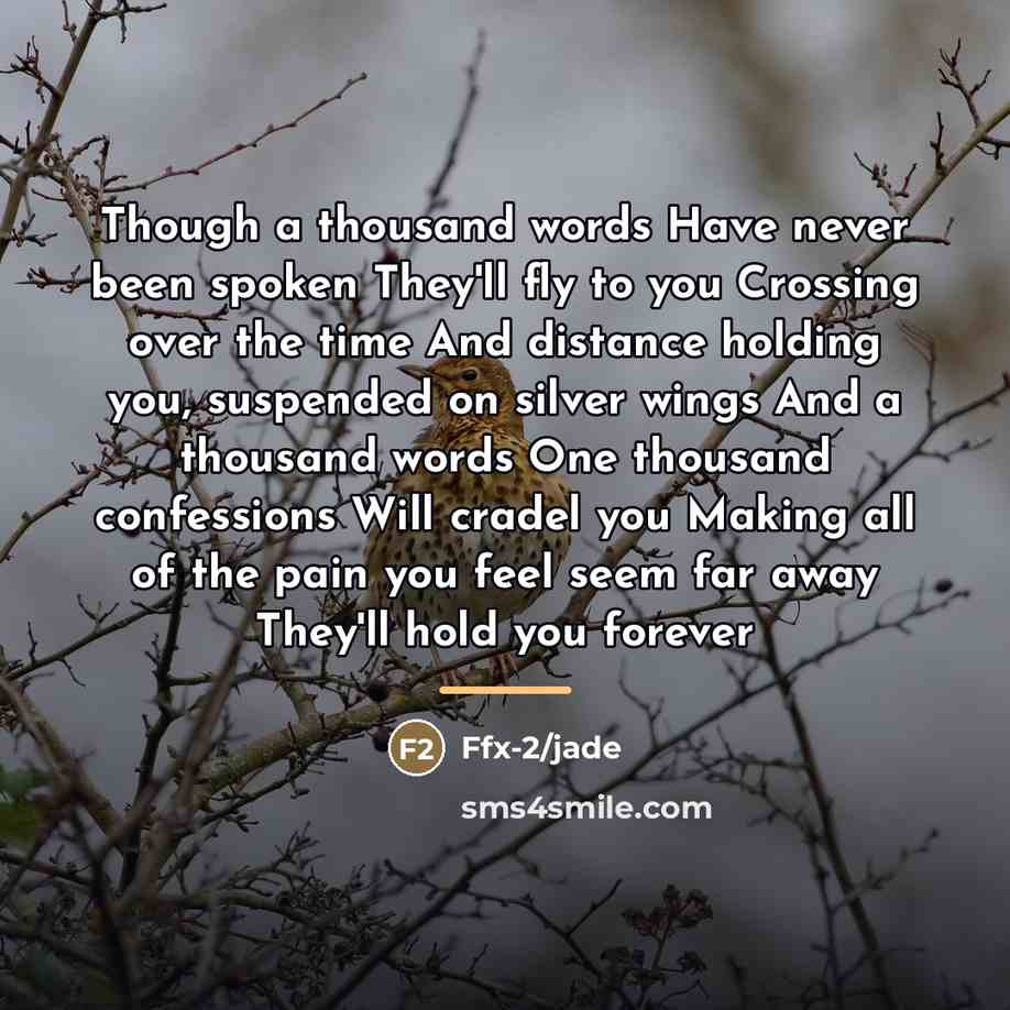 “Though a thousand words Have never been spoken They'll fly…” quote by Ffx-2/jade