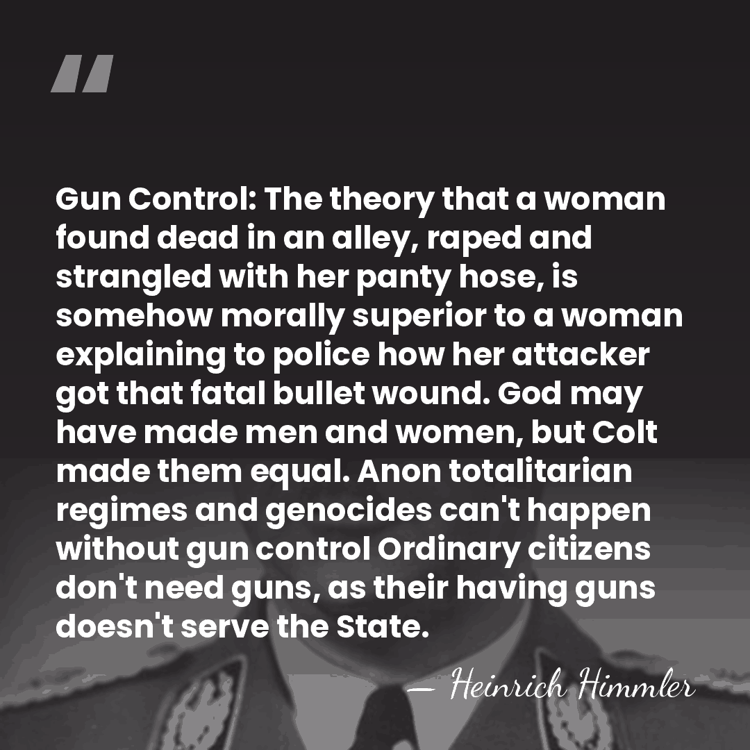 Gun Control: The theory that a woman found dead in an alley,&hellip; - Heinrich Himmler