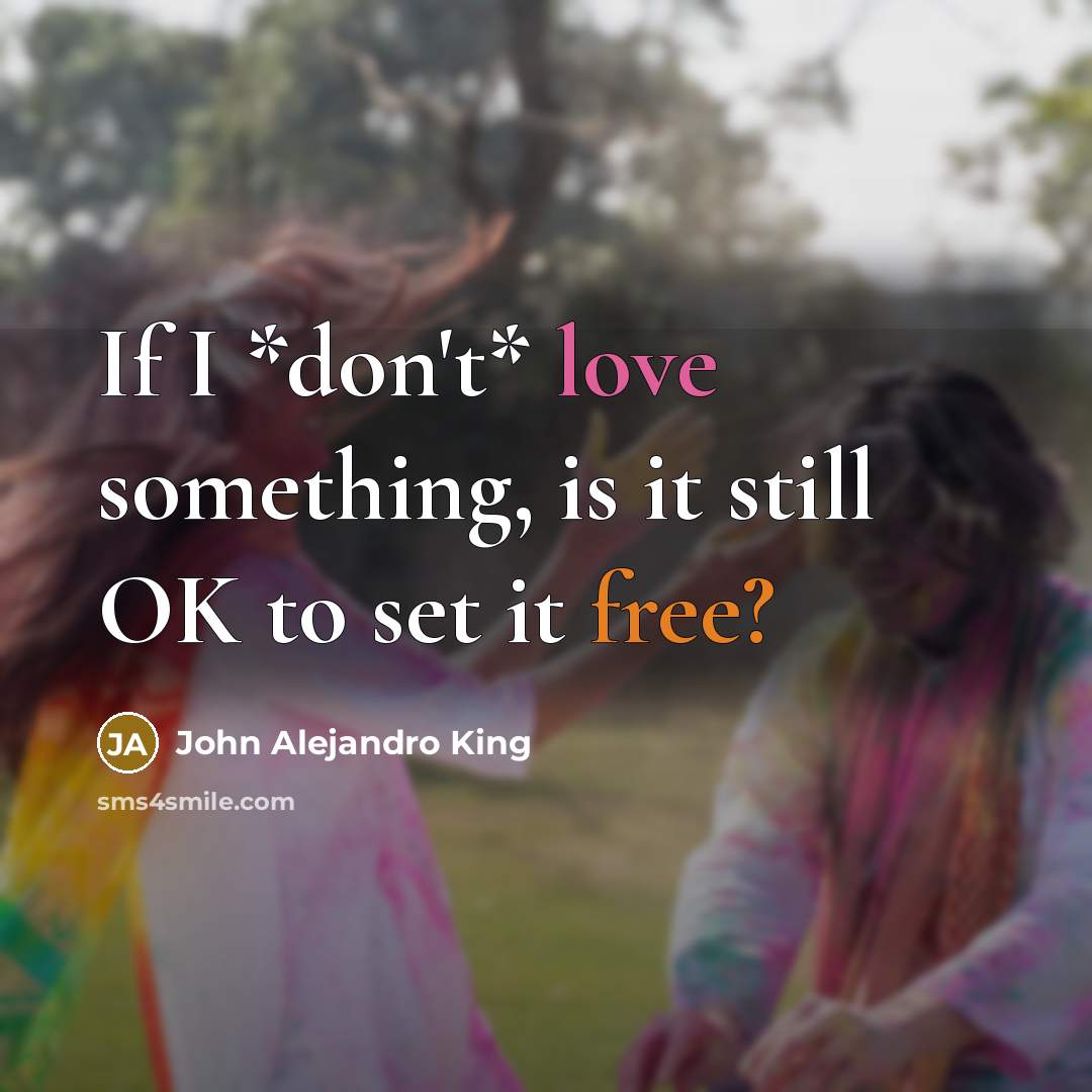 “If I *don't* love something, is it still OK to…” quote by John Alejandro King