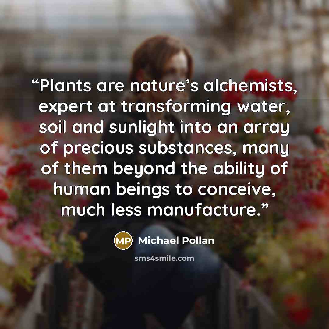 “Plants are nature’s alchemists, expert at transforming water, soil and sunlight into an array of precious substances, many of them beyond the ability of human beings to conceive, much less manufacture.” quote by Michael Pollan
