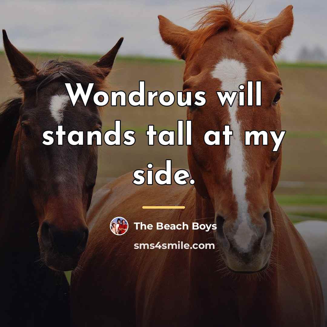 “Wondrous will stands tall at my side.…” quote by The Beach Boys