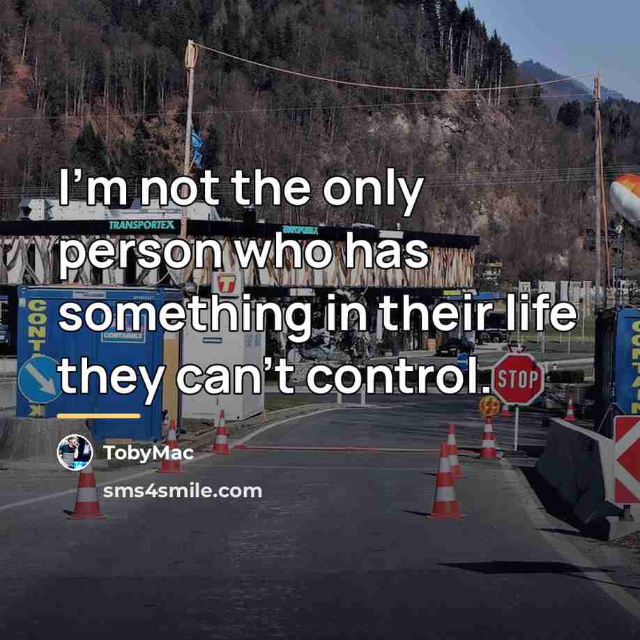 “I'm not the only person who has something in their…” quote by TobyMac