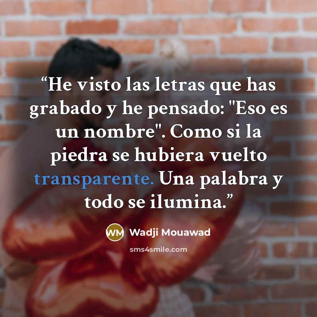 “He visto las letras que has grabado y he pensado: "Eso es un nombre". Como si la piedra se hubiera vuelto transparente. Una palabra y todo se ilumina.” quote by Wadji Mouawad