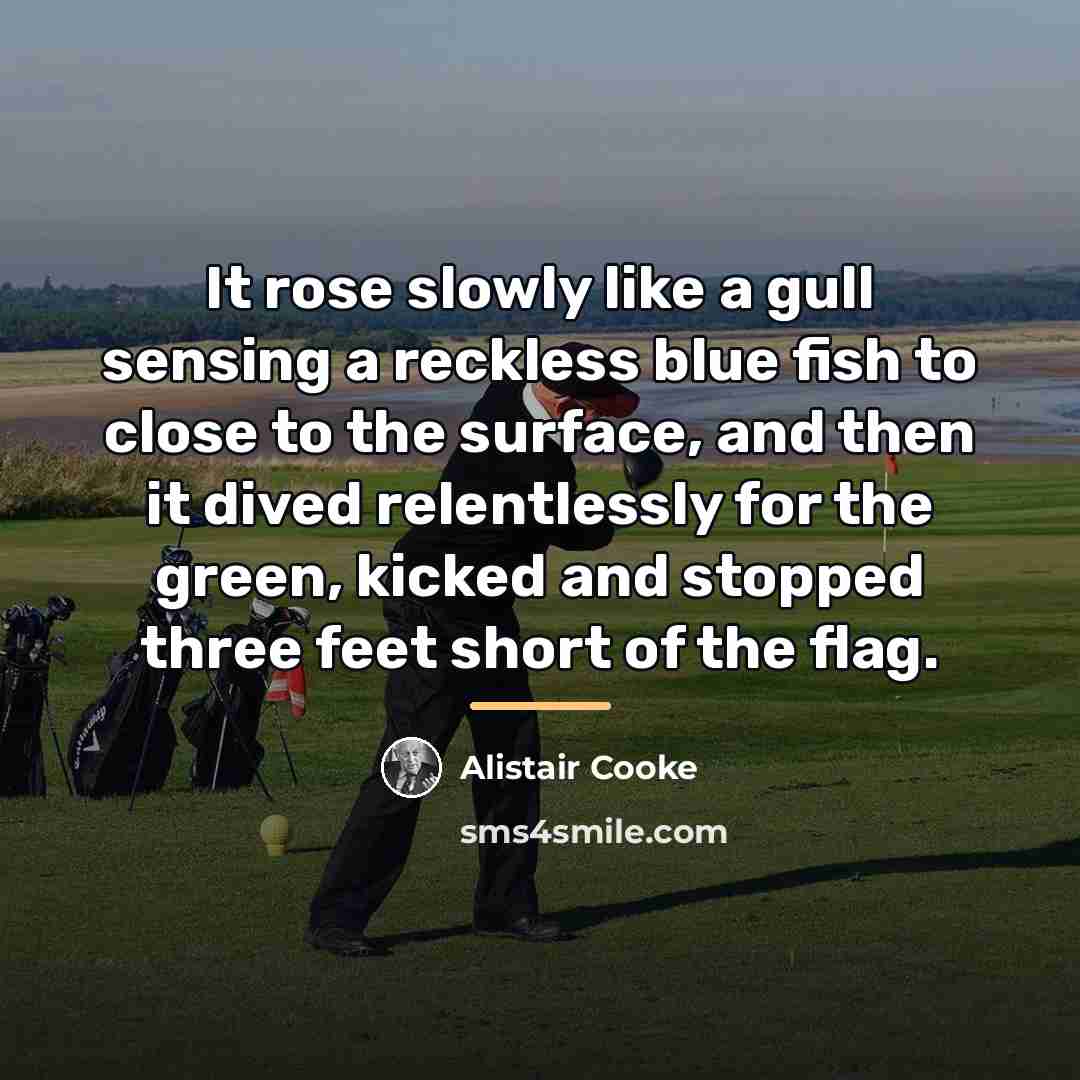 “It rose slowly like a gull sensing a reckless blue…” quote by Alistair Cooke