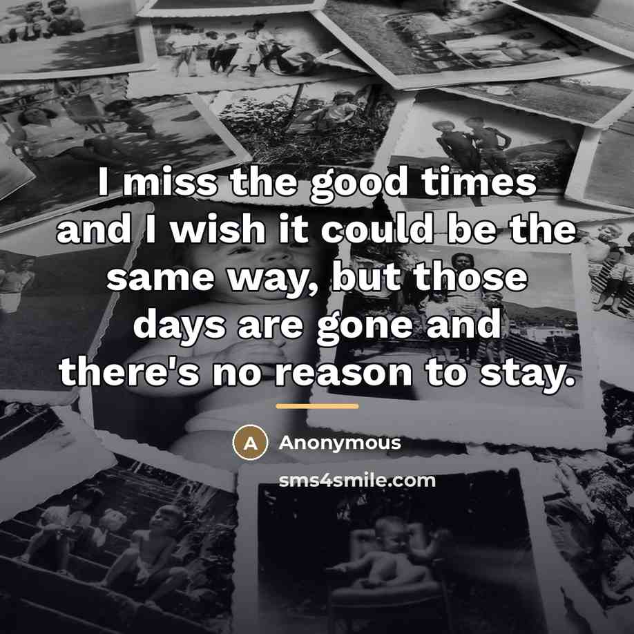“I miss the good times and I wish it could…” quote by Anonymous