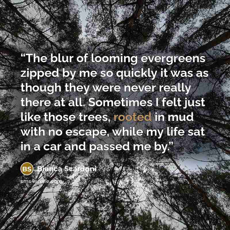 “The blur of looming evergreens zipped by me so quickly it was as though they were never really there at all. Sometimes I felt just like those trees, rooted in mud with no escape, while my life sat in a car and passed me by.” quote by Bianca Scardoni