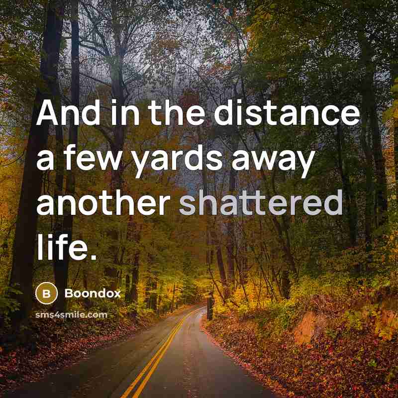 “And in the distance a few yards away another shattered…” quote by Boondox