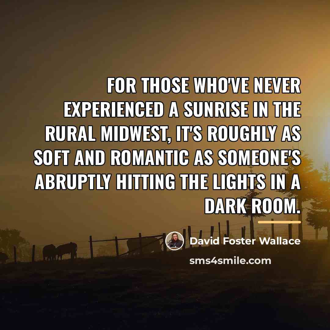 “For those who've never experienced a sunrise in the rural…” quote by David Foster Wallace