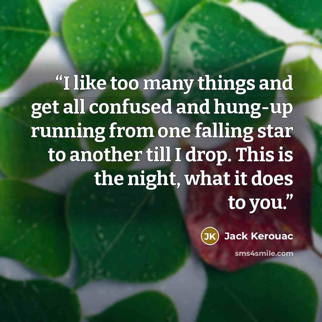 “I like too many things and get all confused and hung-up running from one falling star to another till I drop. This is the night, what it does to you.” quote by Jack Kerouac