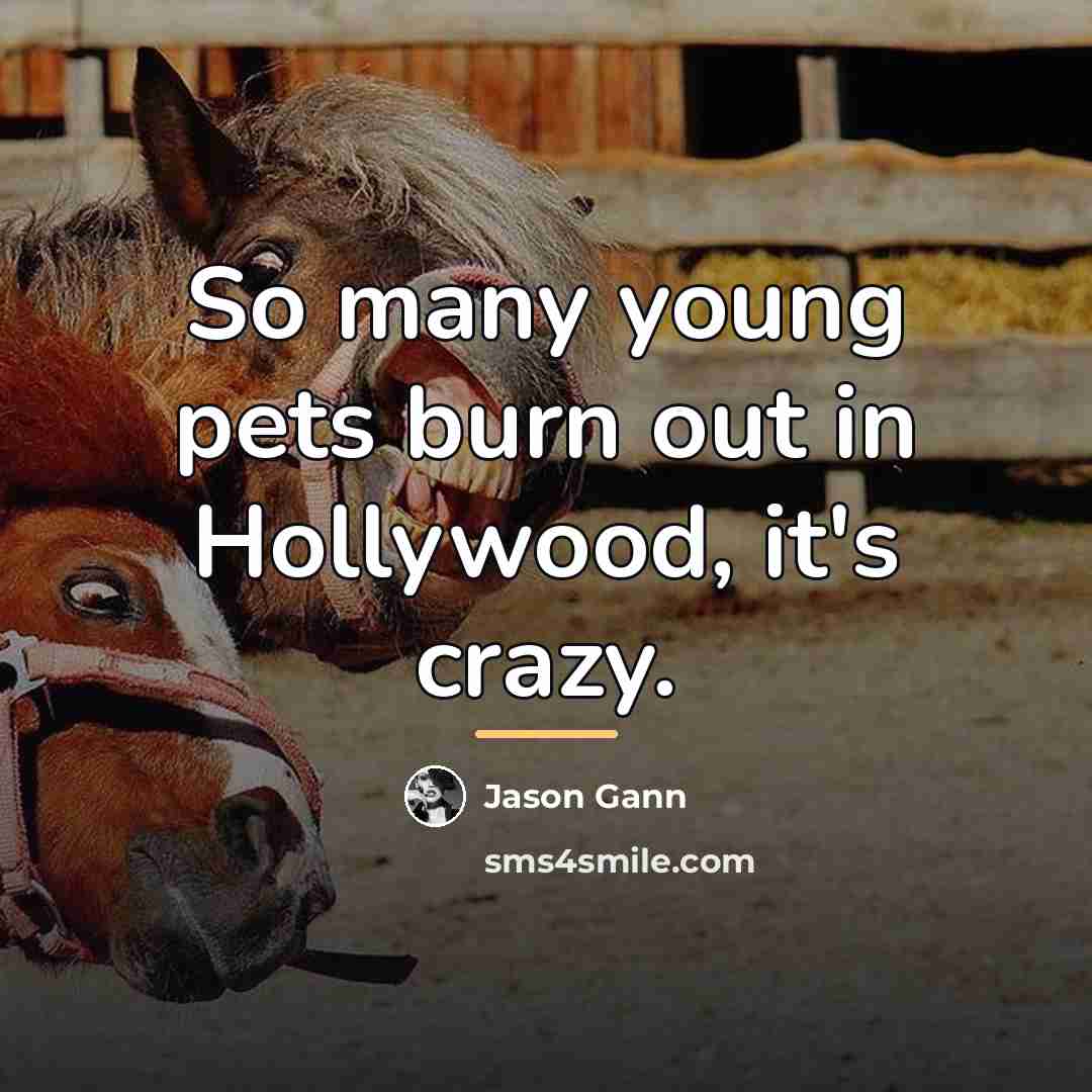 “So many young pets burn out in Hollywood, it's crazy.…” quote by Jason Gann