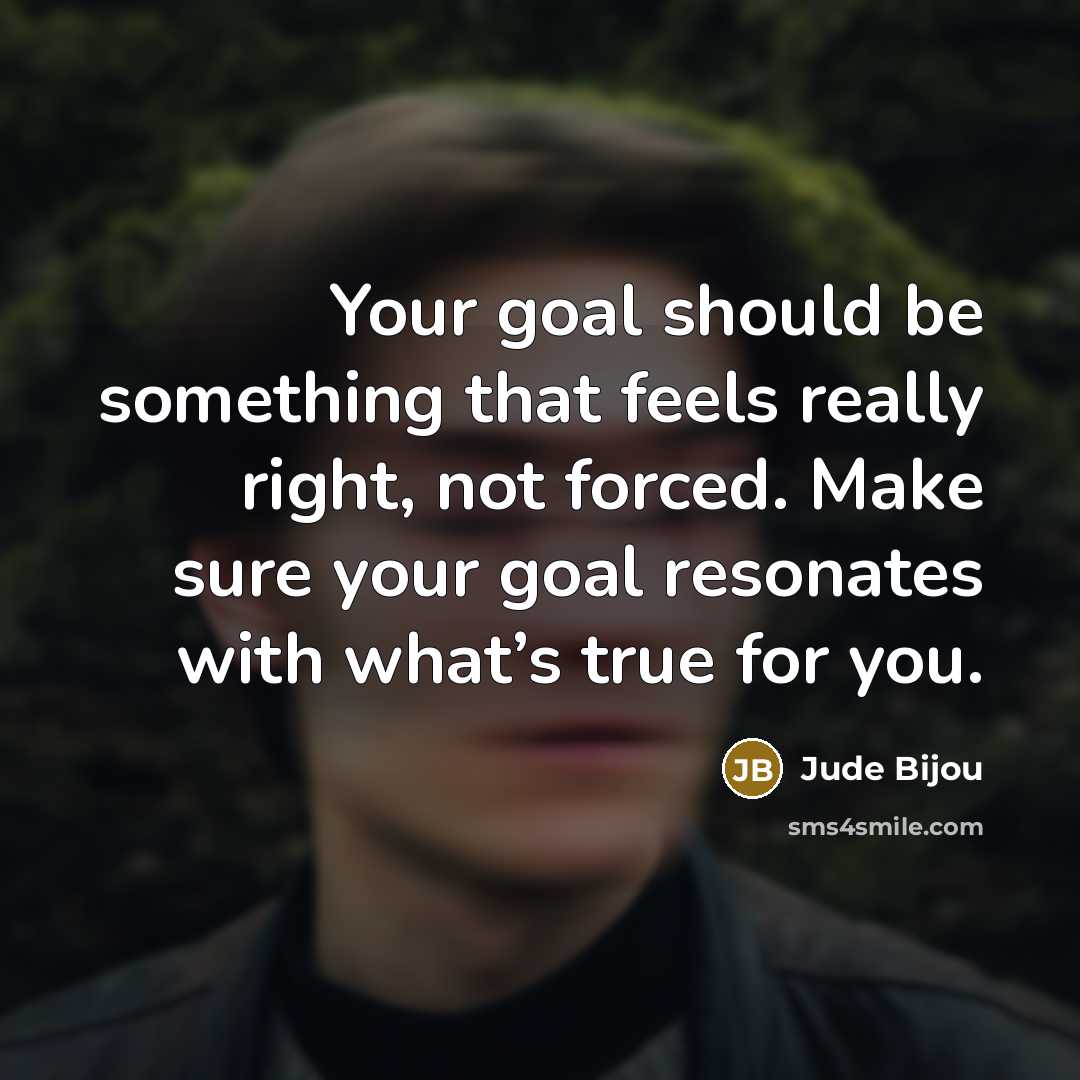“Your goal should be something that feels really right, not…” quote by Jude Bijou