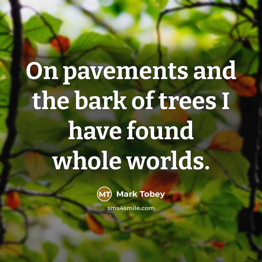 “On pavements and the bark of trees I have found…” quote by Mark Tobey