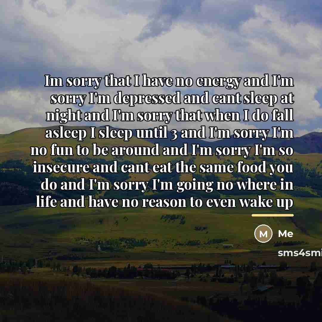 “Im sorry that I have no energy and I'm sorry…” quote by Me
