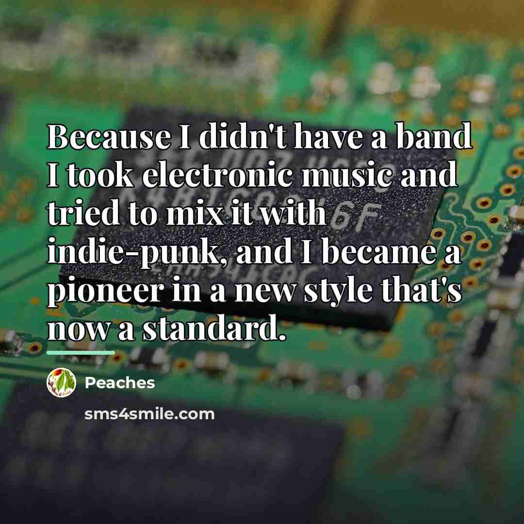 “Because I didn't have a band I took electronic music…” quote by Peaches