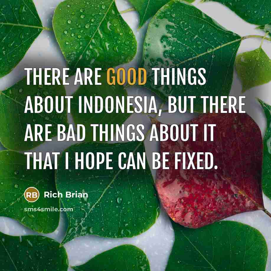 “There are good things about Indonesia, but there are bad…” quote by Rich Brian