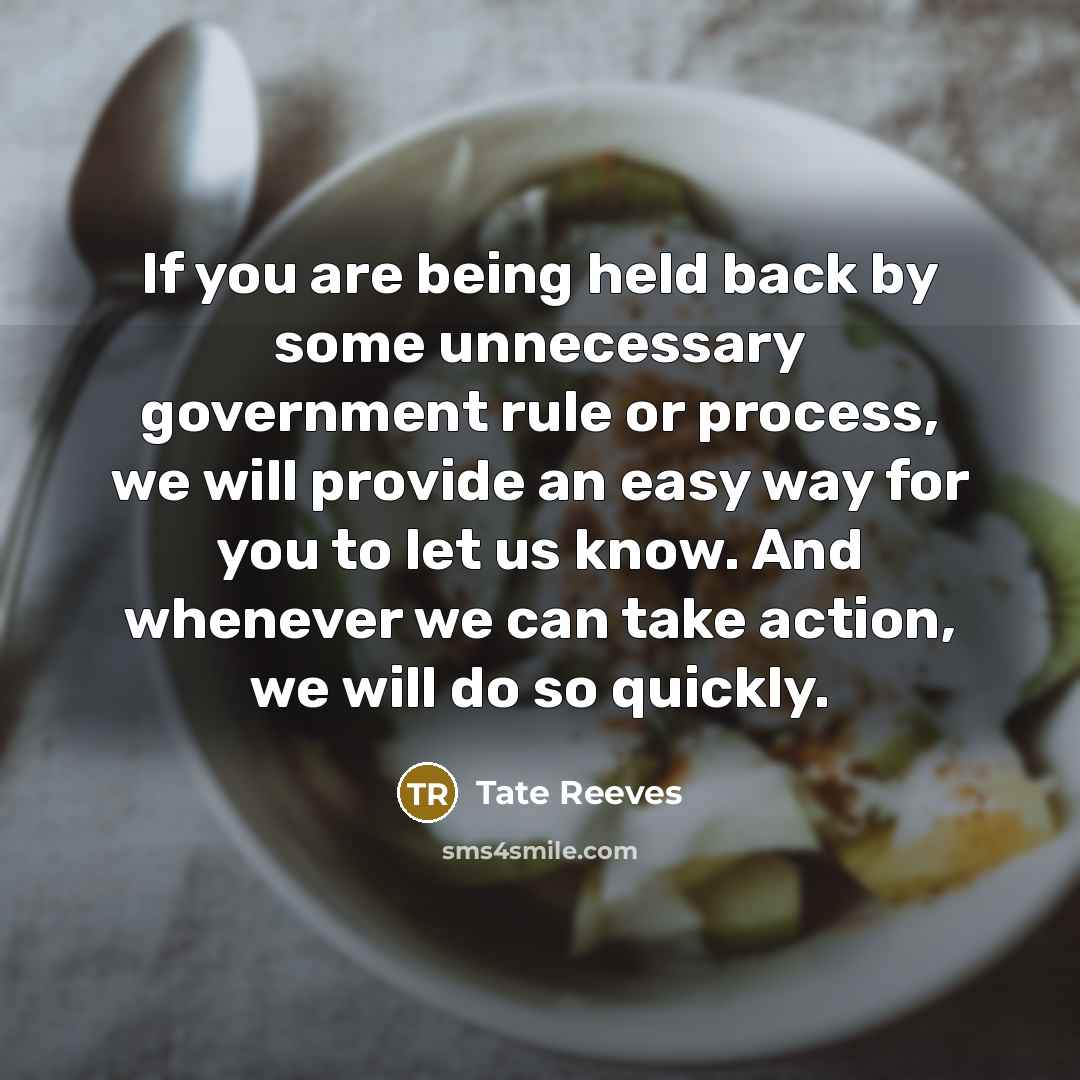 “If you are being held back by some unnecessary government…” quote by Tate Reeves