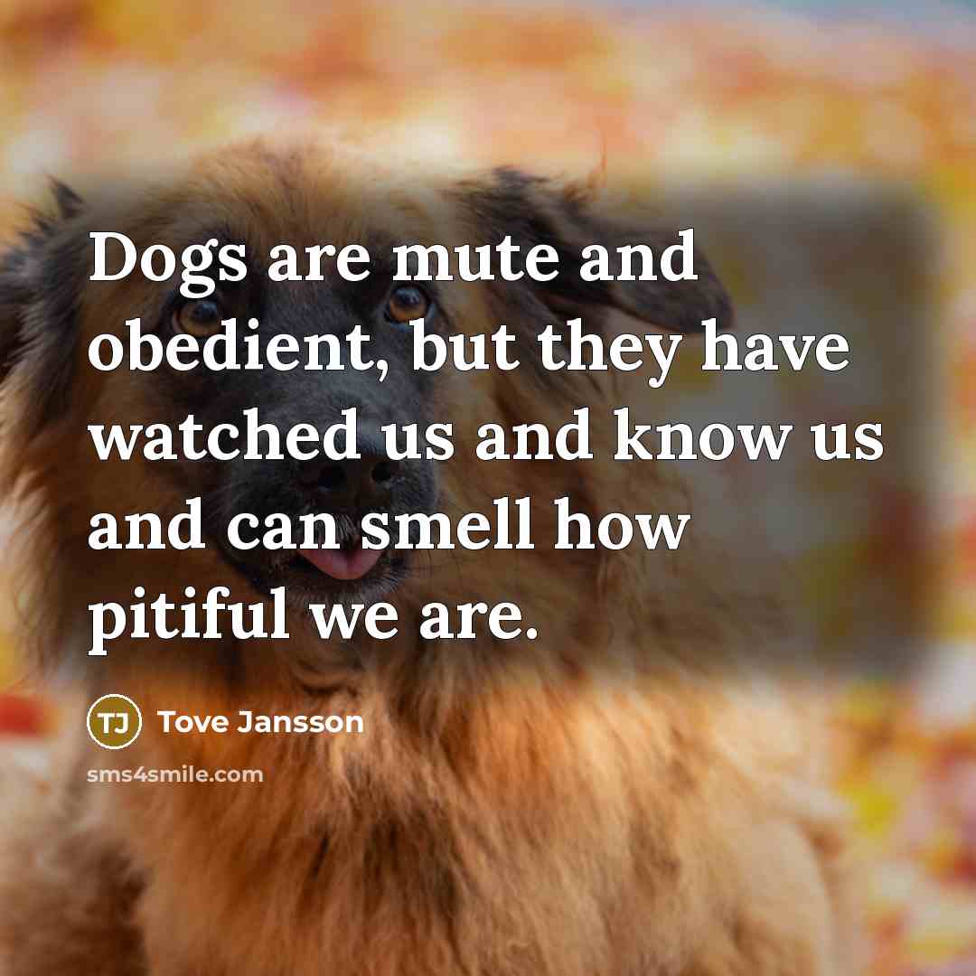 “Dogs are mute and obedient, but they have watched us…” quote by Tove Jansson