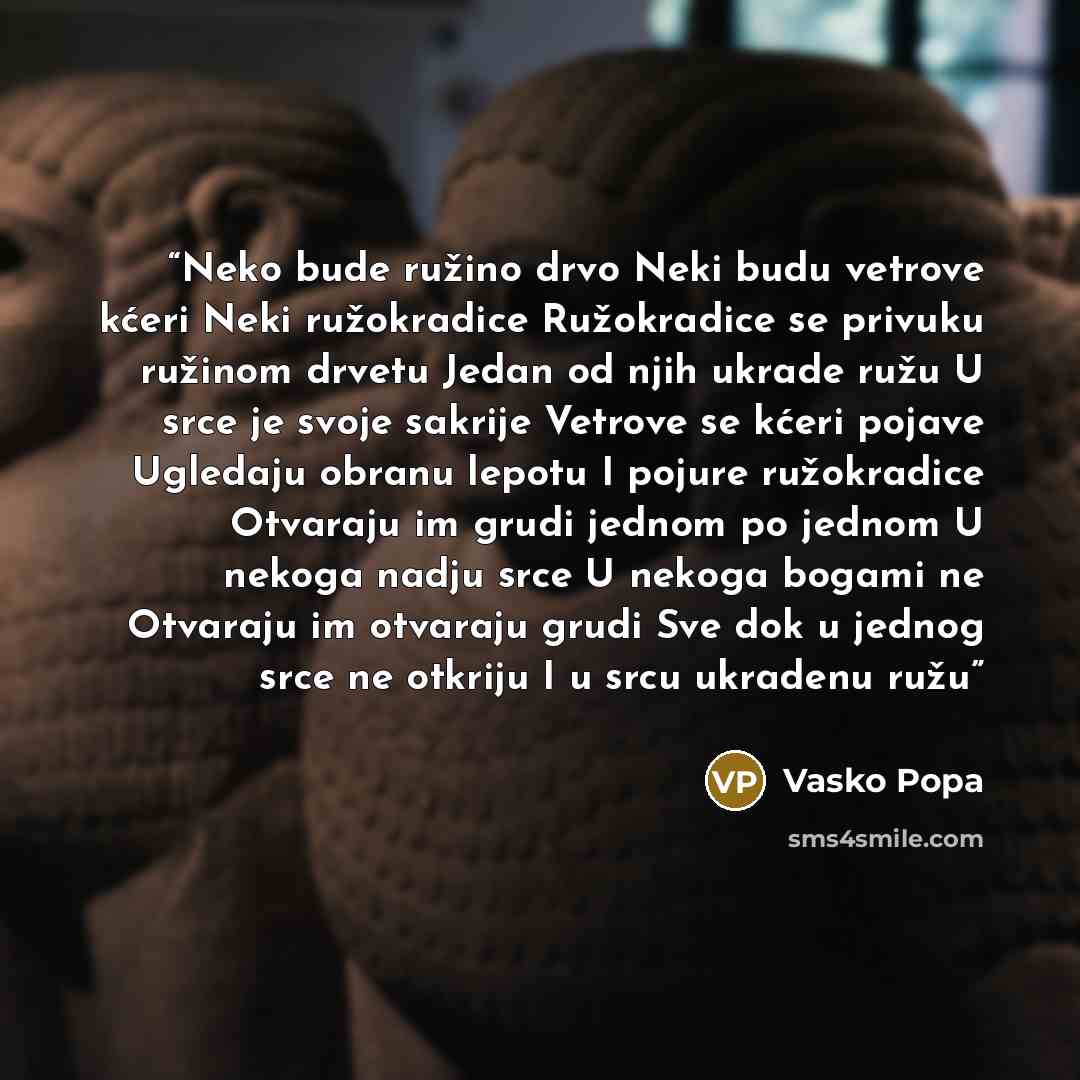 “Neko bude ružino drvo Neki budu vetrove kćeri Neki ružokradice Ružokradice se privuku ružinom drvetu Jedan od njih ukrade ružu U srce je svoje sakrije Vetrove se kćeri pojave Ugledaju obranu lepotu I pojure ružokradice Otvaraju im grudi jednom po jednom U nekoga nadju srce U nekoga bogami ne…” quote by Vasko Popa