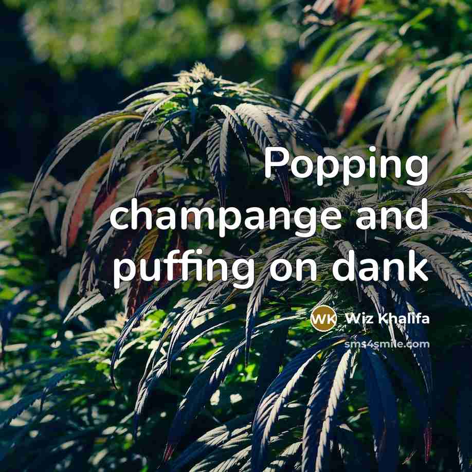 “Popping champange and puffing on dank…” quote by Wiz Khalifa