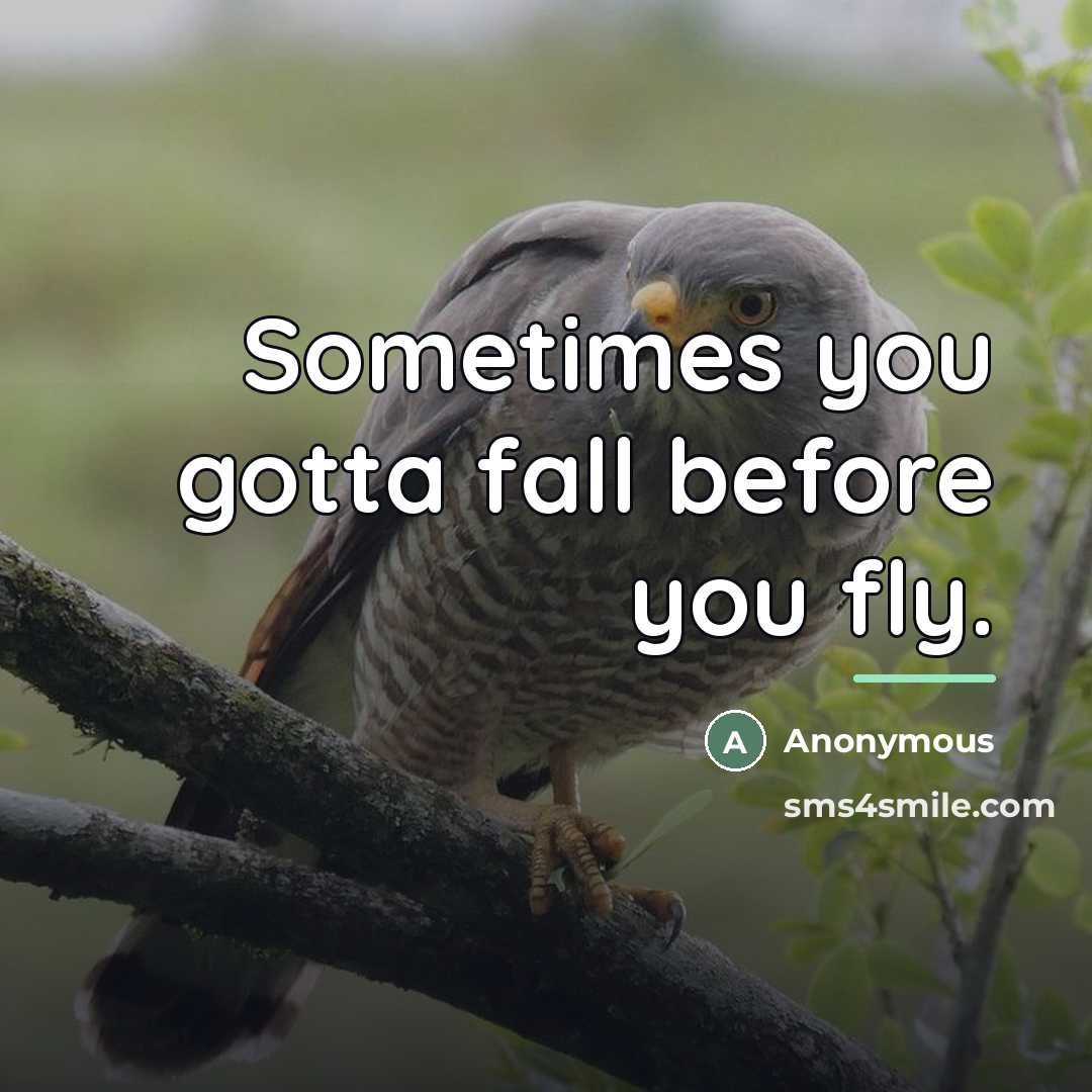 “Sometimes you gotta fall before you fly.…” quote by Anonymous