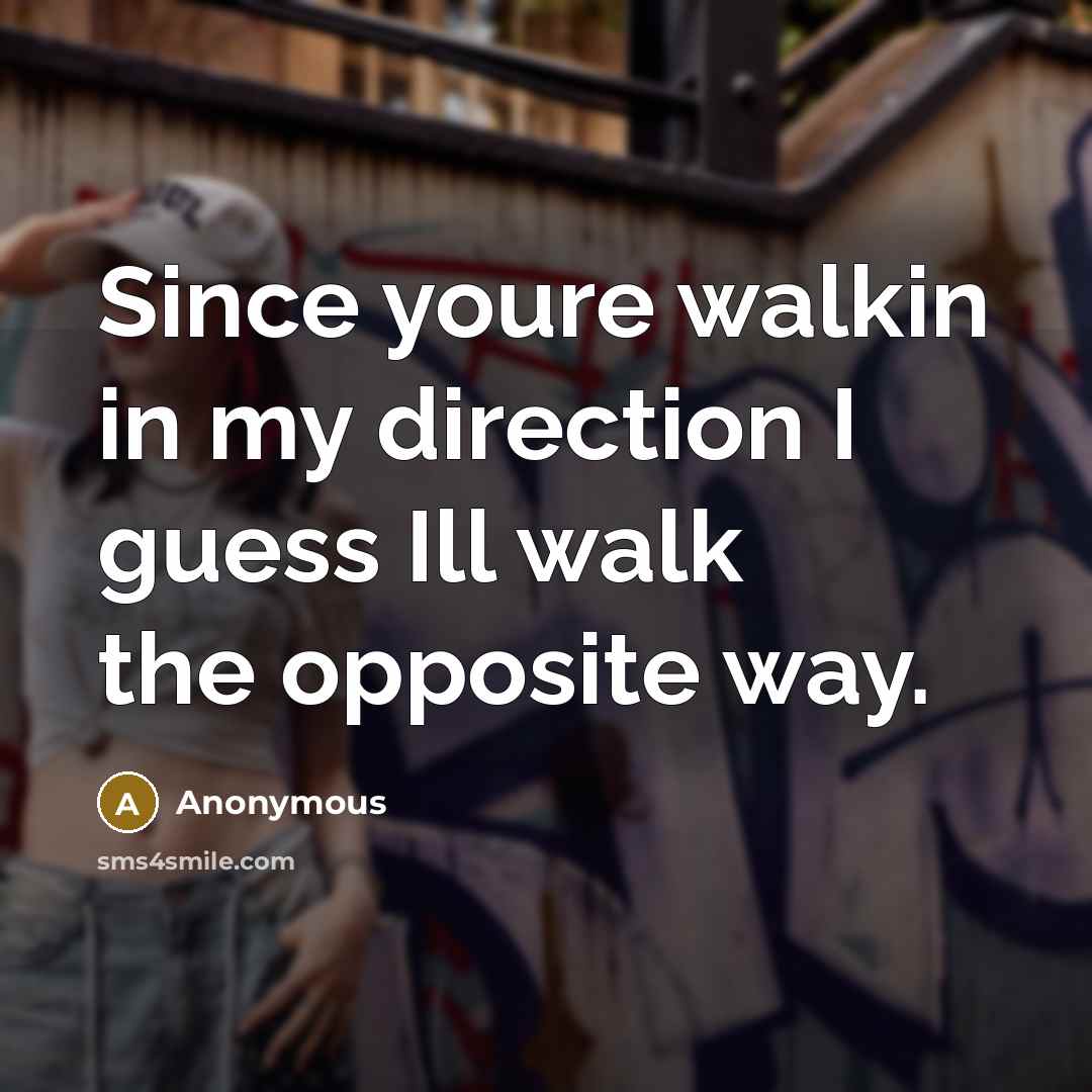 “Since youre walkin in my direction I guess Ill walk…” quote by Anonymous