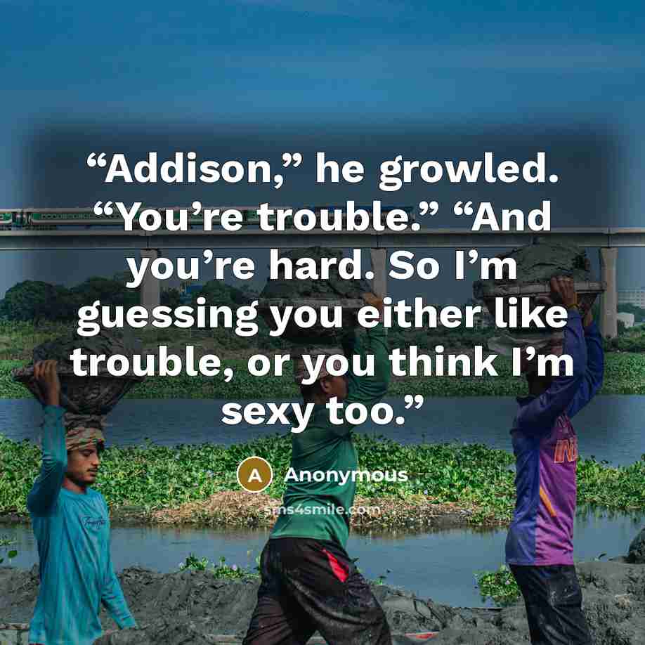 “Addison,” he growled. “You’re trouble.” “And you’re hard. So I’m guessing you either like trouble, or you think I’m sexy too.” quote by Anonymous
