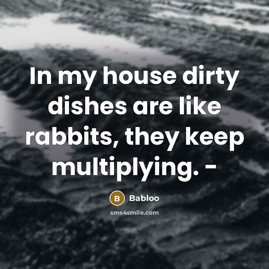 “In my house dirty dishes are like rabbits, they keep…” quote by Babloo