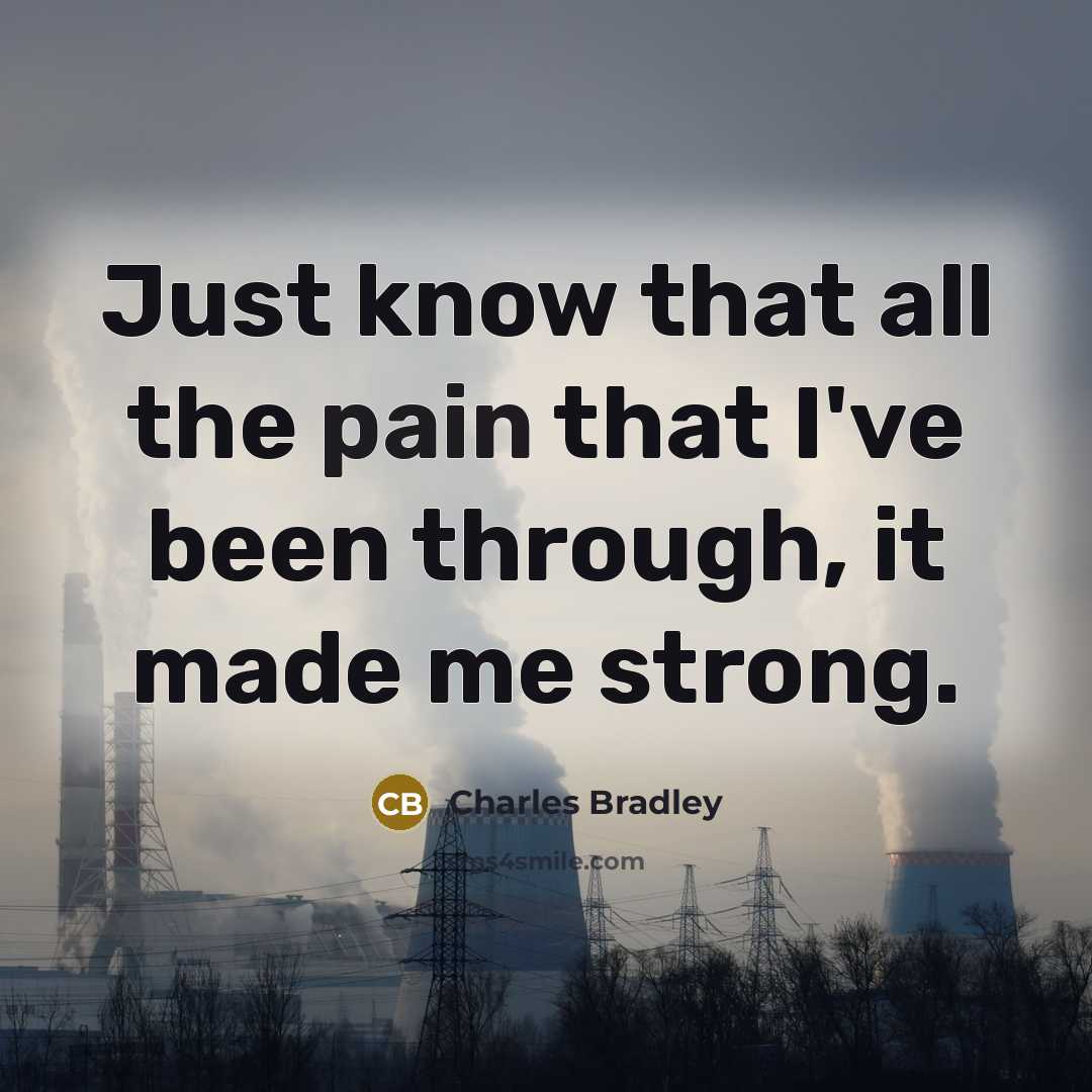 “Just know that all the pain that I've been through,…” quote by Charles Bradley