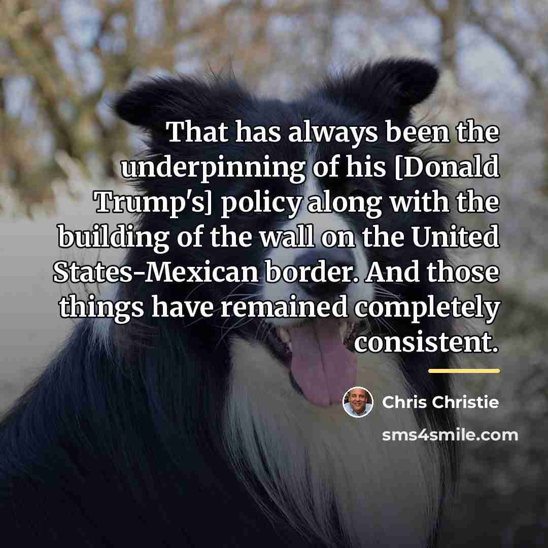 “That has always been the underpinning of his [Donald Trump's]…” quote by Chris Christie