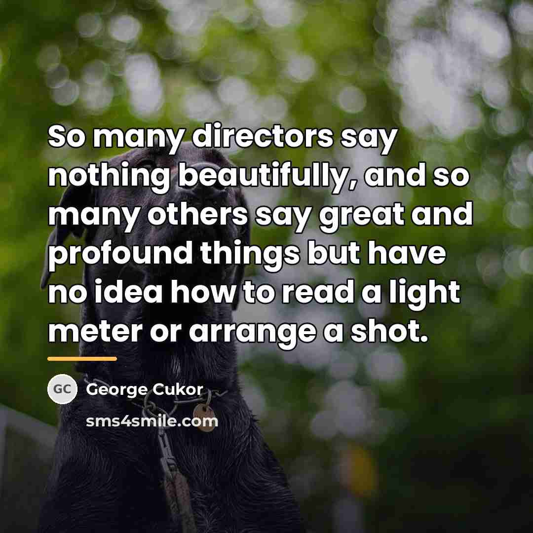 “So many directors say nothing beautifully, and so many others…” quote by George Cukor