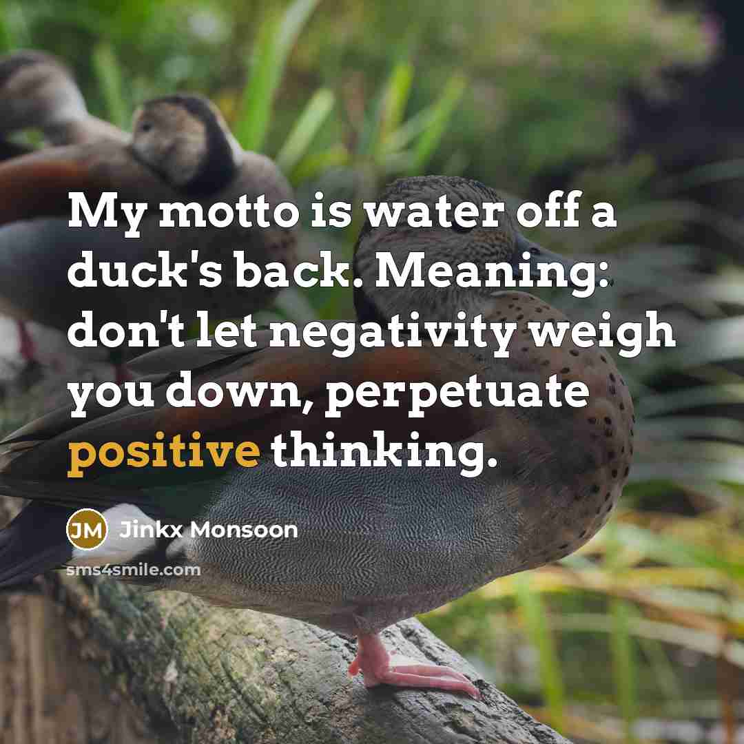 “My motto is water off a duck's back. Meaning: don't…” quote by Jinkx Monsoon