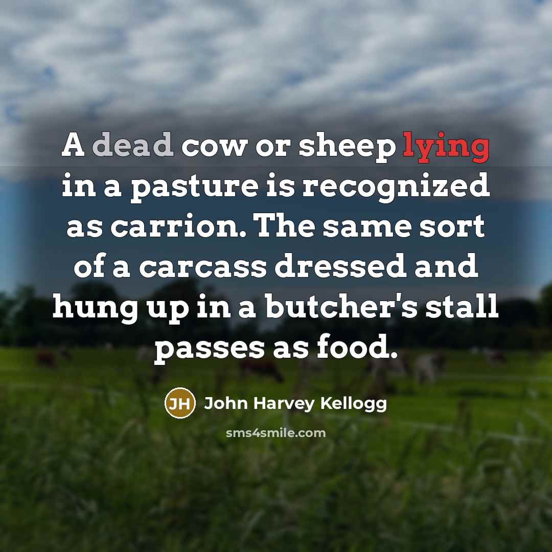 “A dead cow or sheep lying in a pasture is…” quote by John Harvey Kellogg