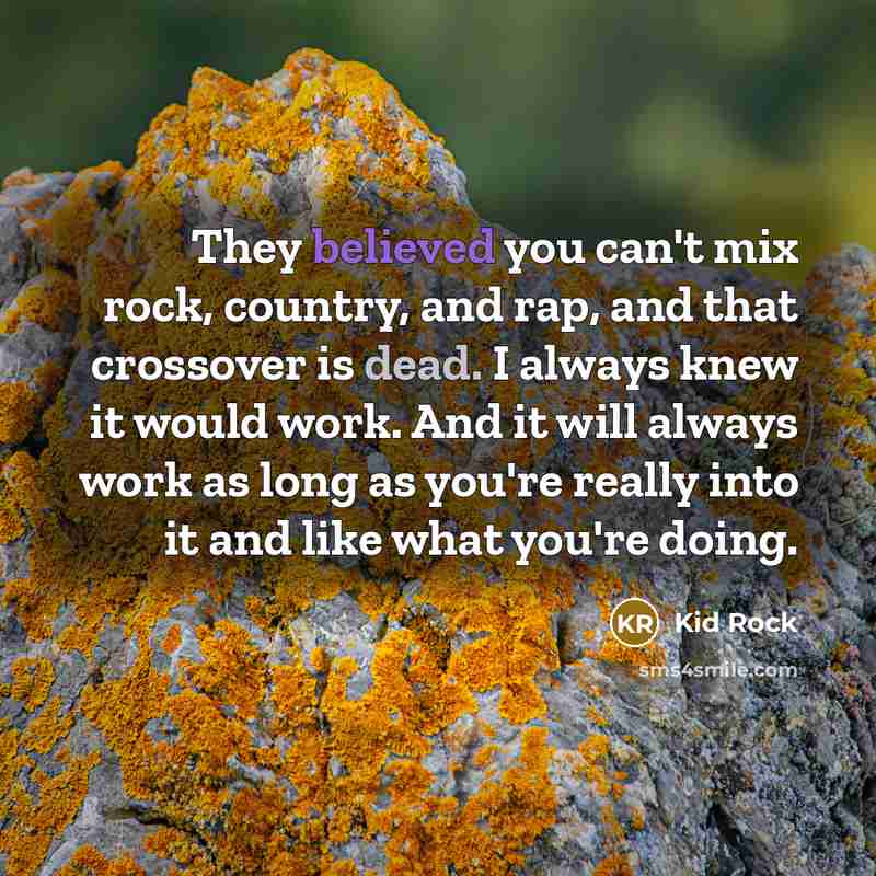 “They believed you can't mix rock, country, and rap, and…” quote by Kid Rock