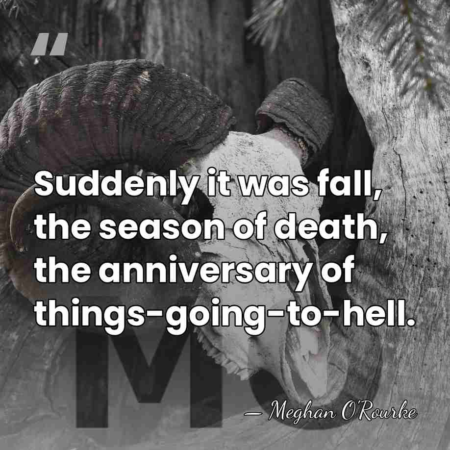 Suddenly it was fall, the season of death, the anniversary of things-going-to-hell. - Meghan O'Rourke