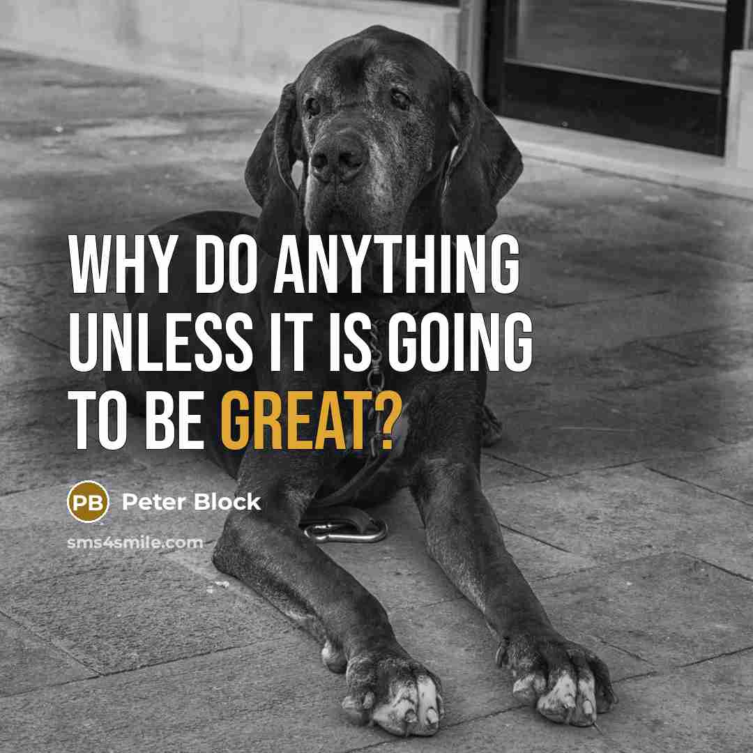 “Why do anything unless it is going to be great?” quote by Peter Block