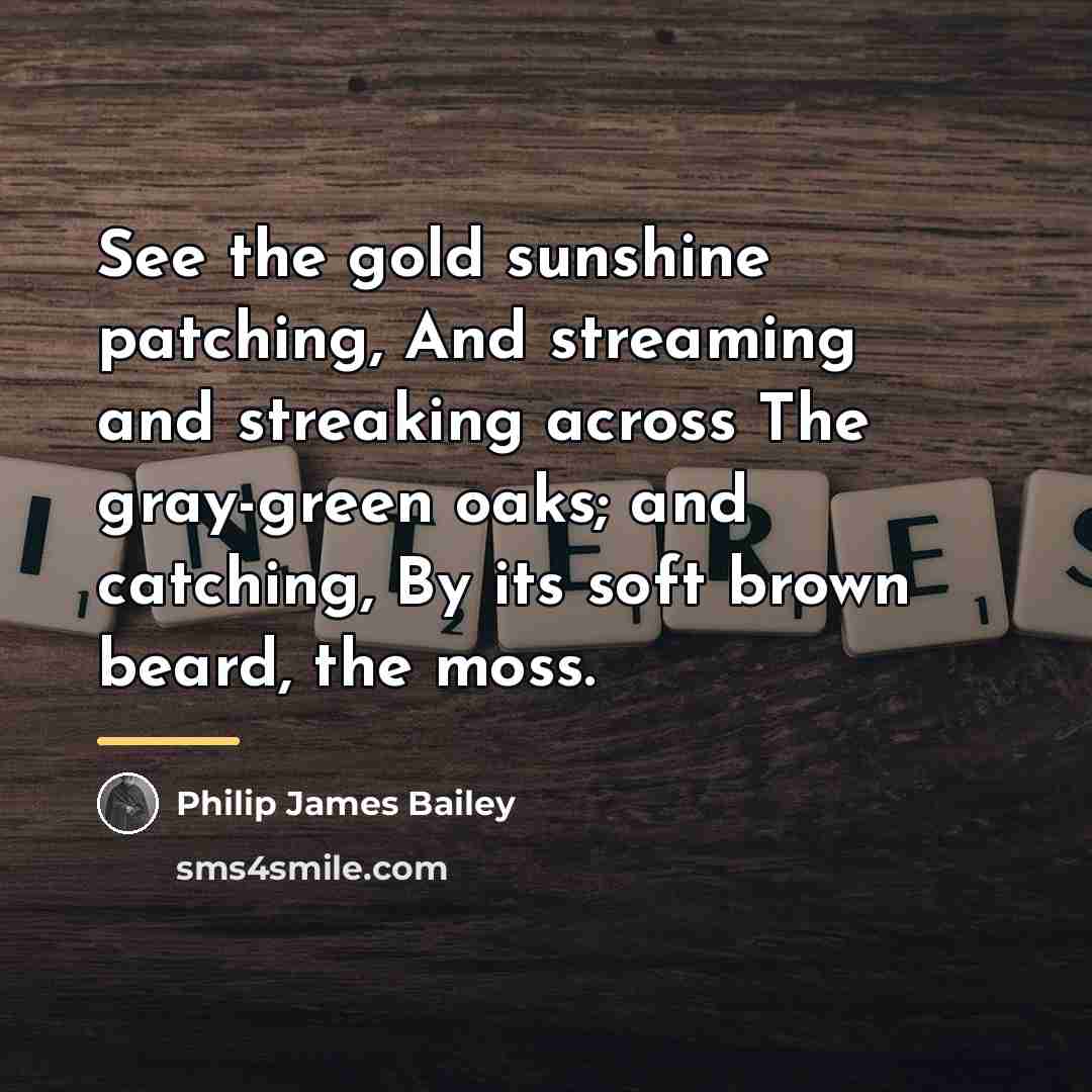 “See the gold sunshine patching, And streaming and streaking across…” quote by Philip James Bailey